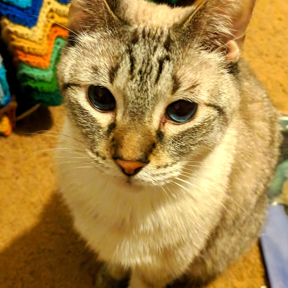 CLOSET BEING UPDATED - Picture 2 of 3